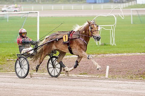 Suven Sametti juoksi Seinäjoella neljännen peräkkäisen voiton.