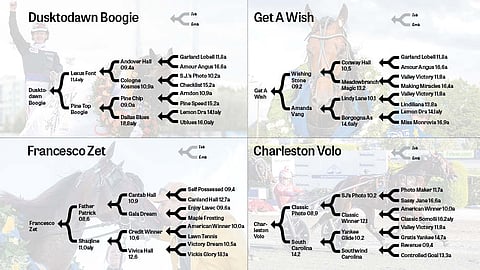 Sukuvertailussa Dusktodawn Boogie, Get A Wish, Francesco Zet ja Charleston Volo.