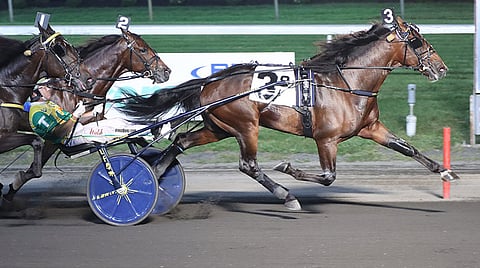 Oh Well voitti ennen Mohawk Millionia New Jersey Classic A-finaalin Meadowlandsissa syyskuun puolivälissä. Kuva: HU arkisto