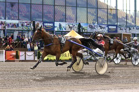 All Star Mint voitti viime kaudella peräti 17 kertaa.