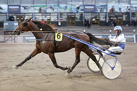 Arctic Crown on jo ehtinyt urallaan näyttää kyvykkyyttään.