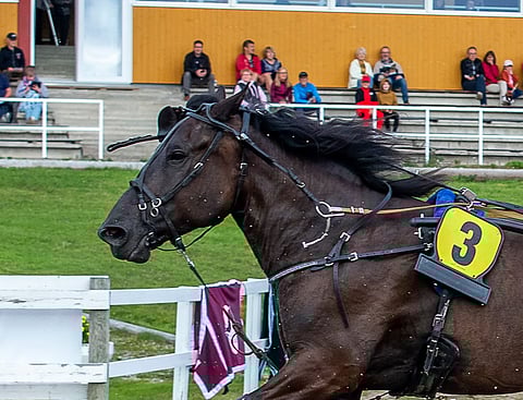 Harjujen Claaran kuolain meni rikki lähdön aikana heinäkuussa Kajaanissa aiheuttaen vaaratilanteen, josta selvittiin kuitenkin säikähdyksellä.