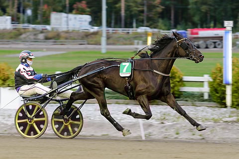 Everlasting Boogie on kaupan myötä siirtymässä Kenneth Danielsenilta Emma Väreen valmennukseen.