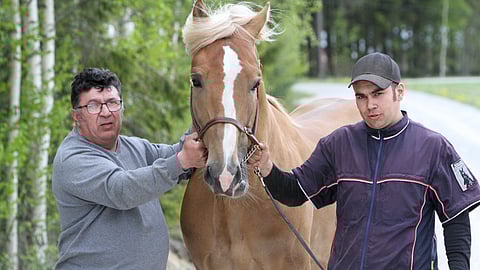 Olavi ja Ville Koivisto pitävät tiiviisti yhteyttä.