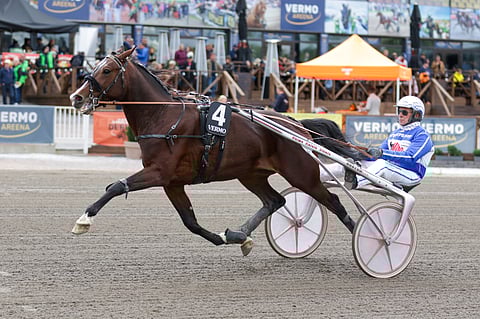 Mandela Zon on raamikas ori.