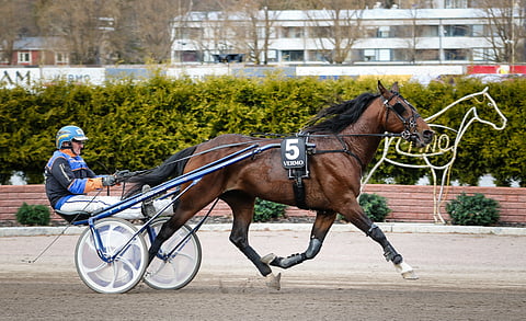 Chase on aina aiemmin kilpaillut Arto Laaksosen ajamana. Keskiviikon kisassa ohjat ottaa Jere Hurme.