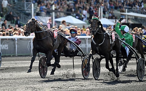 Benoit Robin tuulettaa, Hussard du Landret voittaa.