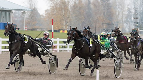 Kilchoman (10) voitti Antti Teivaisen ohjastamana Jokimaalla lokakuun puolivälissä.