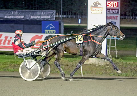The Rain Song nappasi voiton piippuhyllyn paikasta huolimatta. 3-vuotias tamma on sijoittunut jokaisessa uran kuudessa startissaan kolmen parhaan joukkoon.