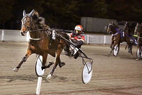 Stop The Press on startannut neljä kertaa ja voittanut niistä jokaisen.