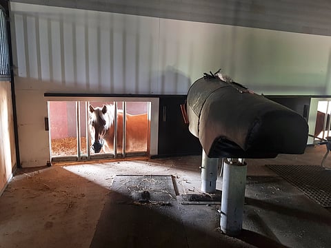 Hyppypukit laitettiin ilmojen viiletessä talviteloille. Kuva on Stall Blombacken oriasemalta.