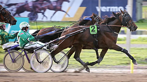 Vihjeen ideavarma Leemark's Ghost on hyvässä kunnossa, mutta voitot ovat kiertäneet. Tänään Santtu Raitala ohjastaa 7-vuotiasta ruunaa.