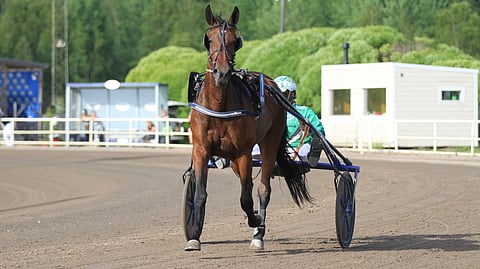 3-vuotias In Memories hakee Vermosta ensimmäistä voittooaan.