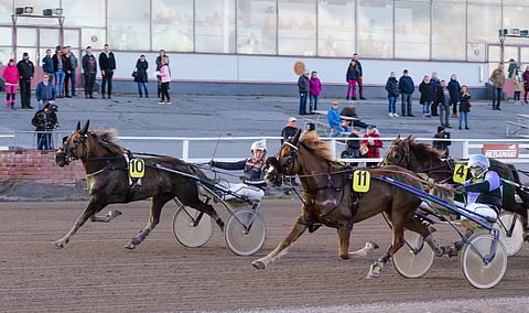 Heilis (10) voitti lokakuussa Turussa Antti Teivaisen ohjastamana.