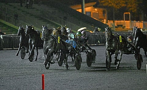 Heraut d'Armes kirii 5-vuotiaiden Euroopan mestariksi.