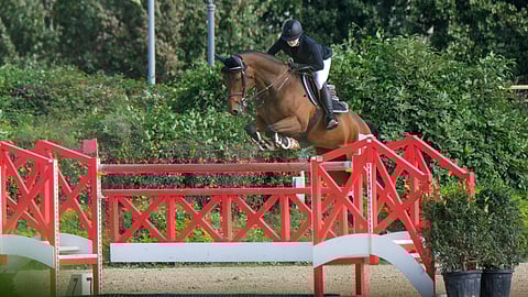 Aura Vasama ja Canto Bruno tekivät kolmen tähden GP:n Italiassa.