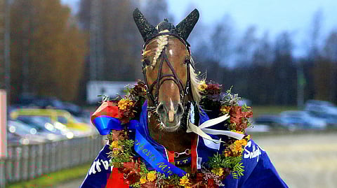 Wolt on ansainnut urallaan jo yli 100 000 euroa.