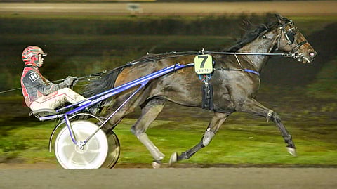 It's Raining Men on päivän pankki.