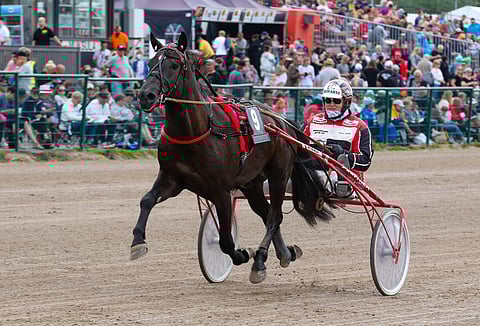 Pitkän tauon jälkeen kilpailemista taas aloitteleva Ohiheittäjä on vihjeen tukipilari. Pohjois-Savon Hevosjalostusliiton Kasvattaja-ajossa ori saa vastaansa mm. 20 metriä takaa starttaavat Matteus Kevättömän ja Savon Sisun.