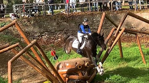 Hämähäkkiesteellä.