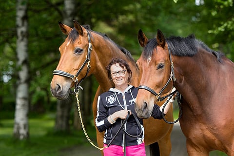 Tepa Sillantie, Fridolin ja Simba Hit vuonna 2015.