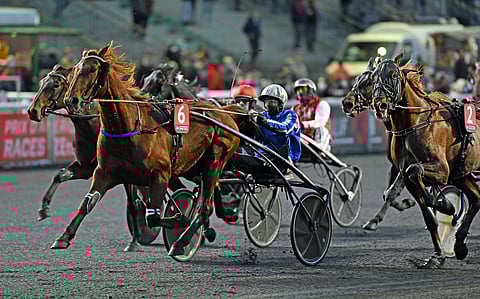 Galius voitti Prix Tenor de Baunen vuosi sitten.