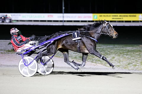 Nasty Habits otti uransa toisen voiton uudella ennätysajallaan 16,8ake.