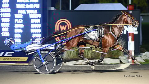 Todd McCarthy ajoi Pebble Beachin kolmen ja puolen hevosenmitan voittoon Breeders Crown-finaalissa Woodbine Mohawk Parkissa lokakuun lopussa. Kuva: