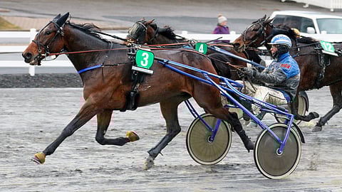 Enjoy's Leon on neljännen kohteen ideavarma.