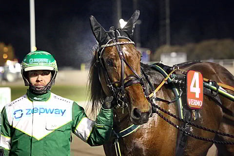 Manny Muscle palasi hienossa kunnossa tauolta. Hienossa kunnossa on myös muut Juho Ihamuotilan valmennettavat, sillä kolmesta viime kisasta on yhtä monta voittoa. Koko kuluvan vuoden aikana talliin on osunut 29 ykköstä.