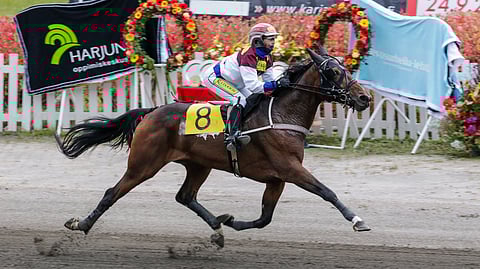 Janita Antti-Roiko tuo Vermoon Alien Scoutin, Tajfunrainin sekä kuvassa esiintyvän Fia Finessen.