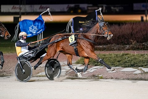 Iikka Nurmonen saapuu Velvet Goldilla Vermoon Maaningalta.