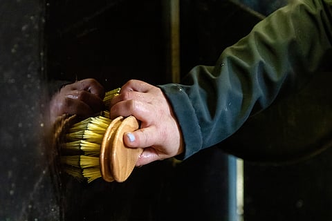 Taudeilta suojautumiseen tarvitaan lihasvoimia ja päättäväisyyttä. Kolmivaiheinen rutiini estää tehokkaasti viruksia leviämästä.