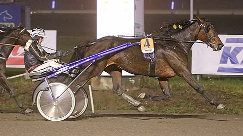 Seppo Markkulan ohjastama Eko Laconda otti ensimmäisen voittonsa Taru Pihkalan valmennuksessa.