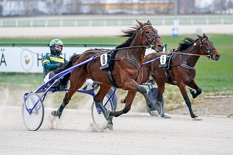 Callela Nelson hakee Derbystä 120 000 euron jättipottia.