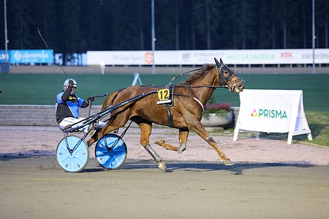 Hertus puristi mehut vastustajistaan Mikkelissä.