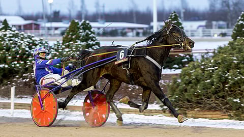 Precious Rock voittajana Porissa.