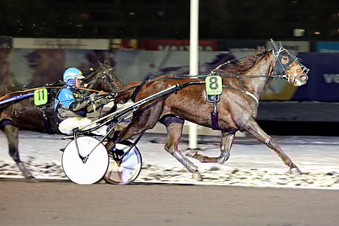 Hertus voitti viimeksi marraskuun lopussa Vermossa.