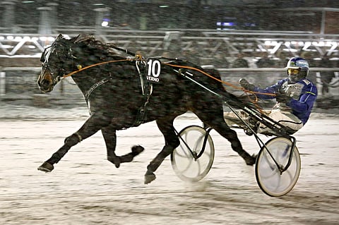 Hila's Elton eteni Toto65-voittajaksi neljän kymmenyksen erolla.