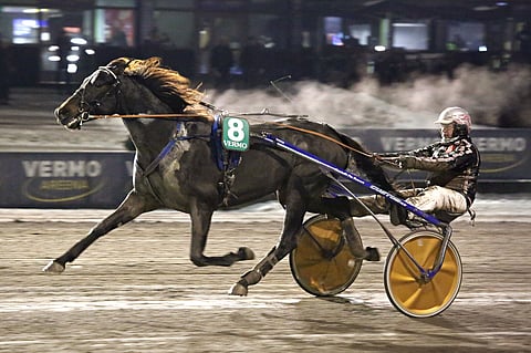 Vincent C.D. malttoi ravata koko matkan. Silloin orilla on tapana myös menestyä.