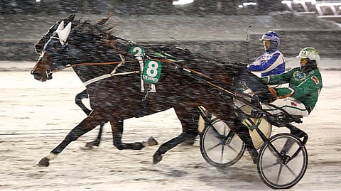 Kratos di Quattro hakee Ari Moilasen kanssa paluuta voittokantaan. Valjakko starttaa päätöskohteessa kuudennelta lähtöradalta.