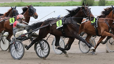 Might Be Romeo on päätöskohteen ideavarma.