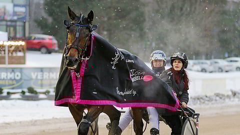 Gyro Gearloose karkasi Lady-Liigan ykköseksi.