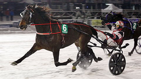 Hannu Korpi uskoo pääsevänsä tuulettamaan tänään Grainfield Aidenin kanssa T65-pelin avauskohteessa. Perusmatka on 3120 metriä, mutta tämä valjakko starttaa yksin 40 metrin takamatkalta.