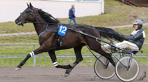 Timo Toiviaisen Dynamike Savoy on torstaina loistoasemissa.