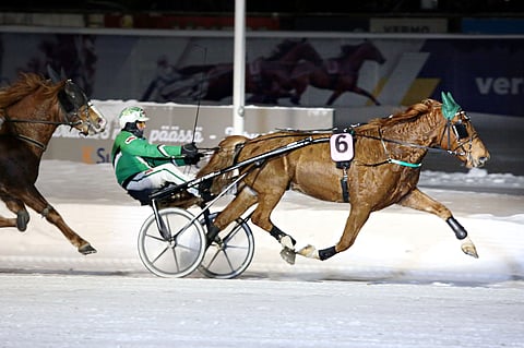 Villiveko pääsee kiihdyttämään lauantaina matkaan numerolla kuusi.