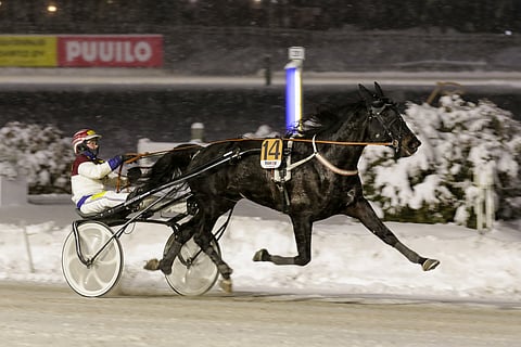 Janita Antti-Roikon virtaviivainen sankari Ashley Face.