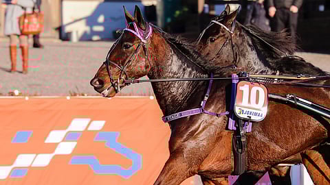 Qiulius On Stage starttaa toista kertaa tauolta ja on vihjeen toinen ideavarmoista.