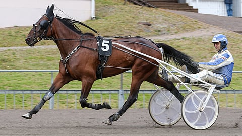 Valmentaja Marko Lavi kertoo Make A Wish H.C.:n kuulumiset. Kuvasta poiketen hevosta ajaa tänään Tapio Perttunen.
