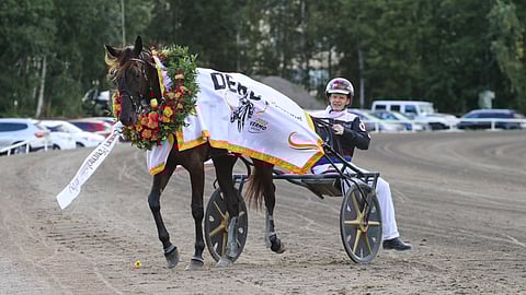 Kenneth Danielsenin tähtitamma voitti syksyllä Vermossa ajetun Derbyn.